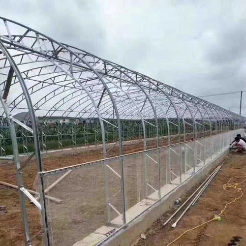 双膜骨架温室大棚 镀锌钢管种植棚 养殖大棚 蔬菜种植大棚 加工