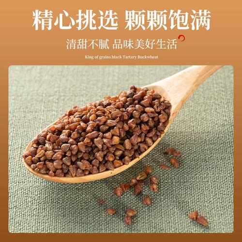 新疆包邮黑苦荞大麦茶四川大凉山苦荞茶非黄苦荞苦芥茶养生茶