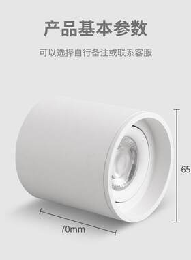 迷你小号明装射灯吸顶式led北欧免开孔矮款超薄洗墙卧室玄关高显