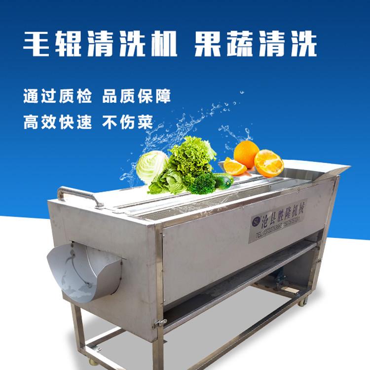 莲藕磨皮毛刷清洗机蔬菜清洗抛光机