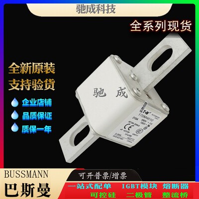 巴斯曼170M4619 170M4656 170M4658 销售供应销售价优 方体熔断器