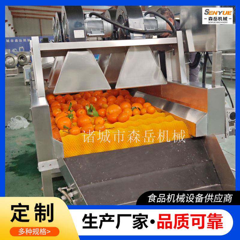 沃柑洗果机选果机茂谷柑清洗机去石灰黄帝柑清洗风干分级一体机