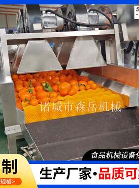 沃柑洗果机选果机茂谷柑清洗机去石灰黄帝柑清洗风干分级一体机