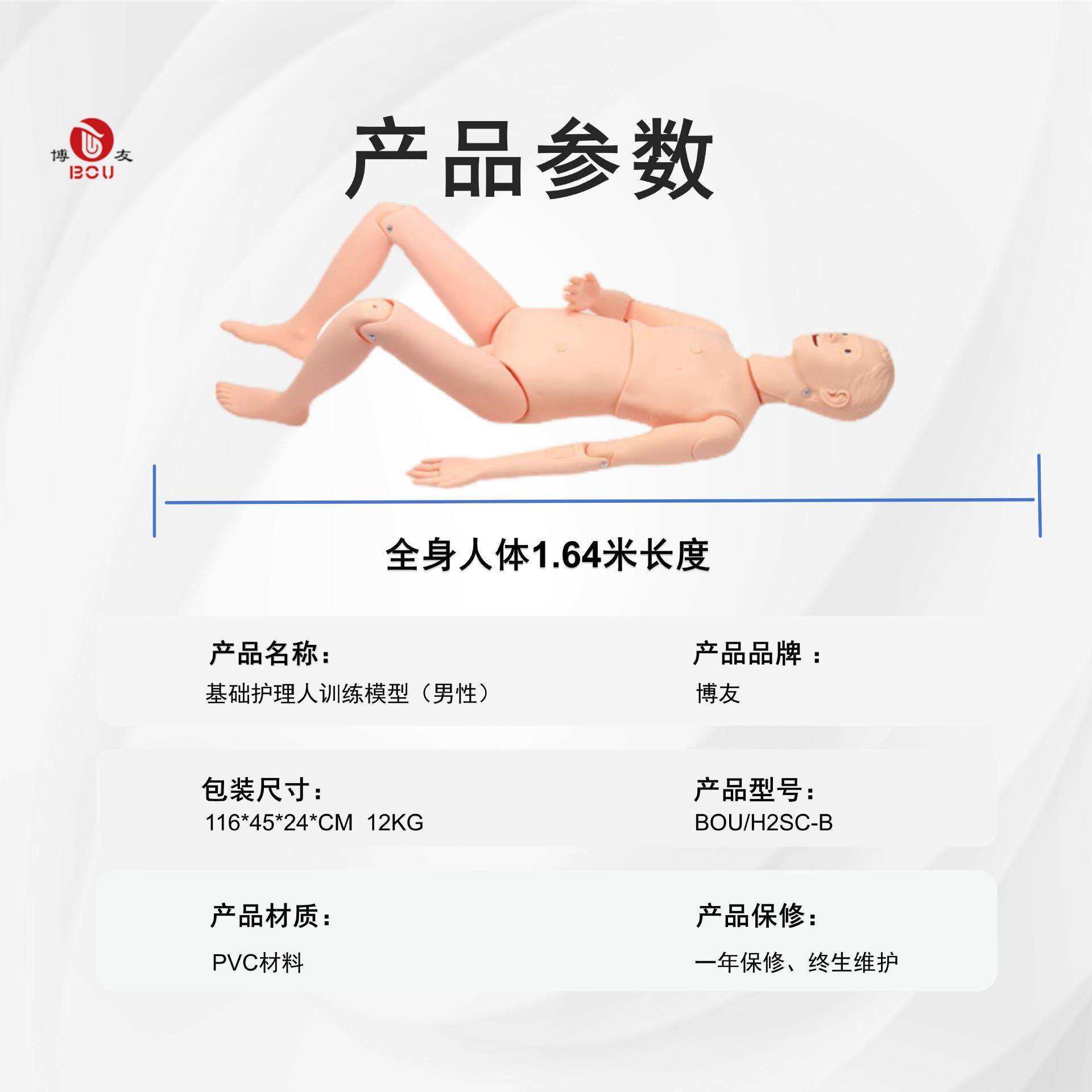 博友护理模拟操作假人心肺急救人体模型 实习橡皮人模拟人 男女