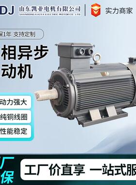 三相异步电动机110V220V380VYL-YE3-YE4-YE5-YVF2厂家直销
