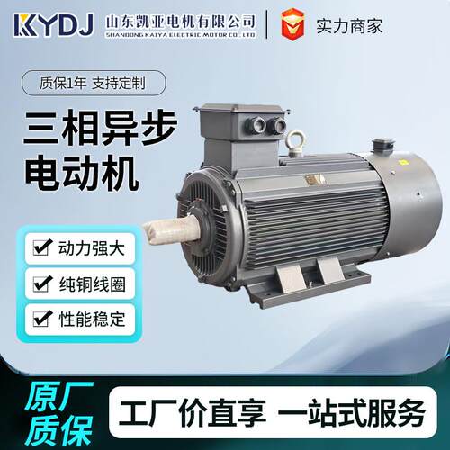 三相异步电动机110V220V380VYL-YE3-YE4-YE5-YVF2厂家直销