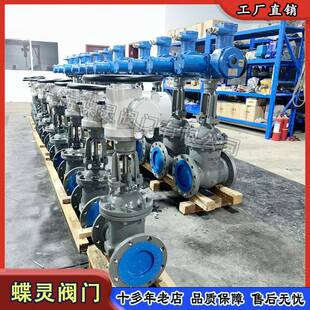 64C煤安隔爆行电动法兰闸阀厂家 DN250矿用电动闸阀MKZ941H