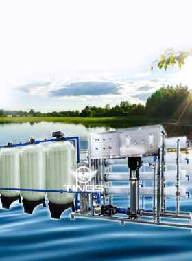 净0.251吨RO渗透设备纯净水设62420138备饮用水设备去-离子软水反