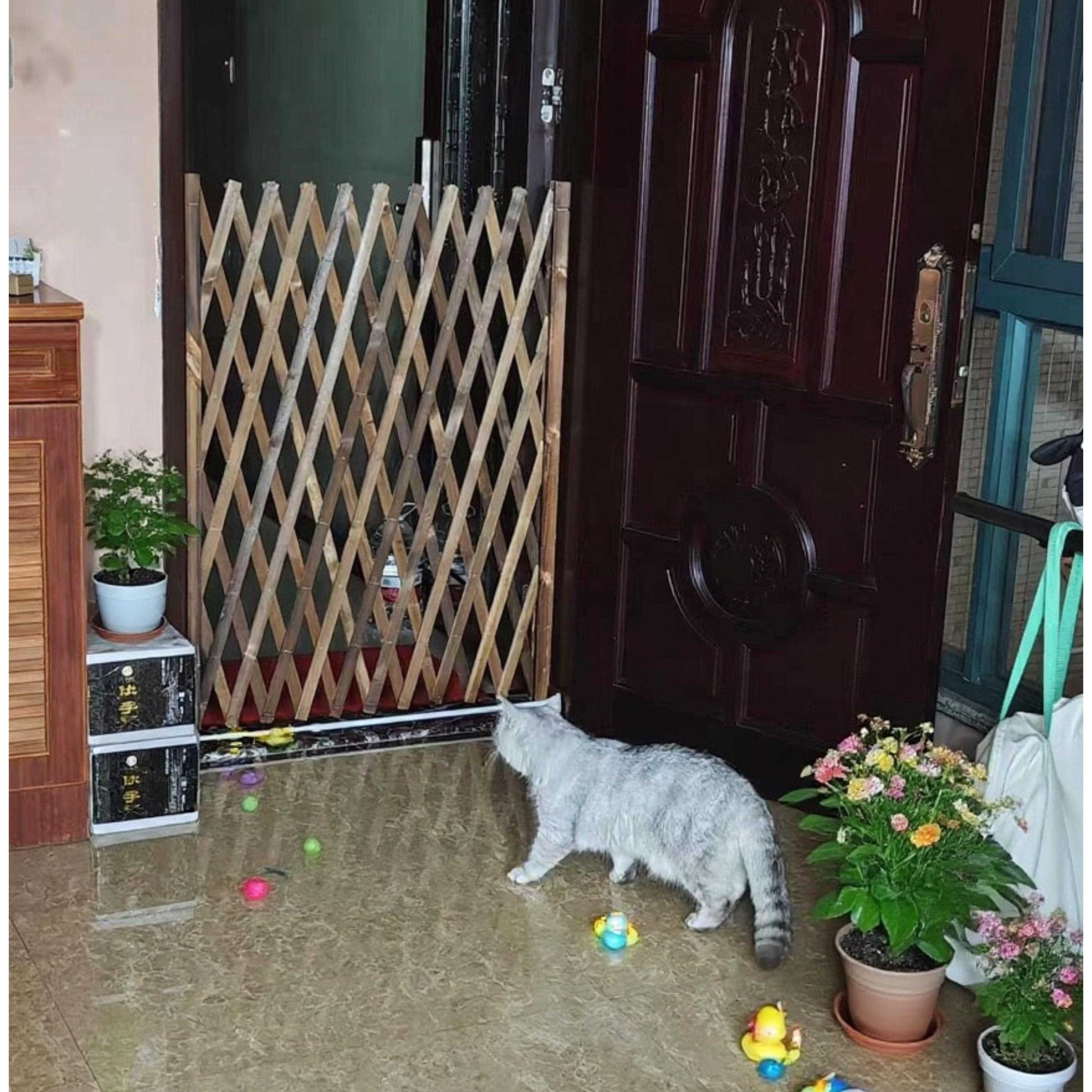 宠物栅栏防猫门栏狗狗栅栏隔离阻拦猫咪栏杆挡板室内阳台护栏笼子图片