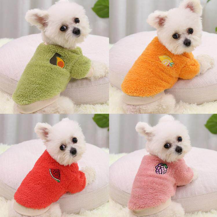 秋冬两脚狗狗猫咪宠物用品衣服小中大狗犬泰迪服饰小型犬新年款