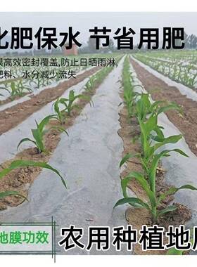 蔬菜玉米农用白色地膜种植加厚防草膜种菜保温薄膜专用塑料膜地膜