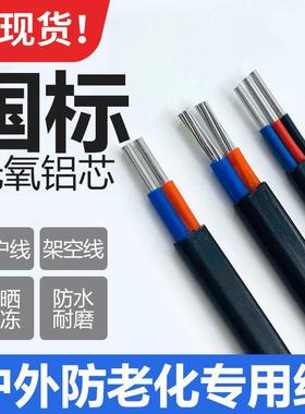 铝芯风雨线农网国标2芯4/6/10/16/25平方护套防老化家用户外电线
