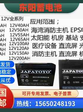 TOYO东洋蓄电池6FM/GFM24/12V7AH17AH20AH40AH65AH100AH直流屏UPS