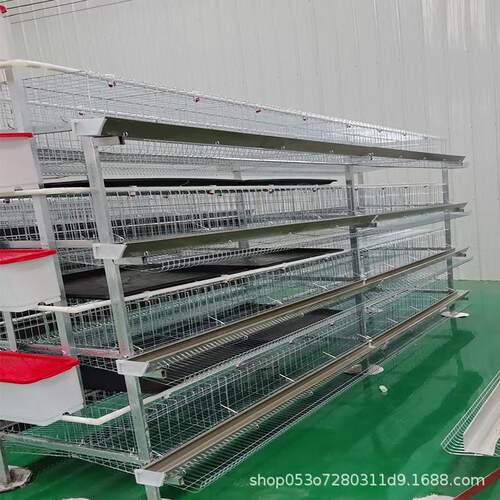 镀锌鸡笼蛋鸡笼三层四门阶梯蛋鸡笼养殖笼工厂现货直供可外贸