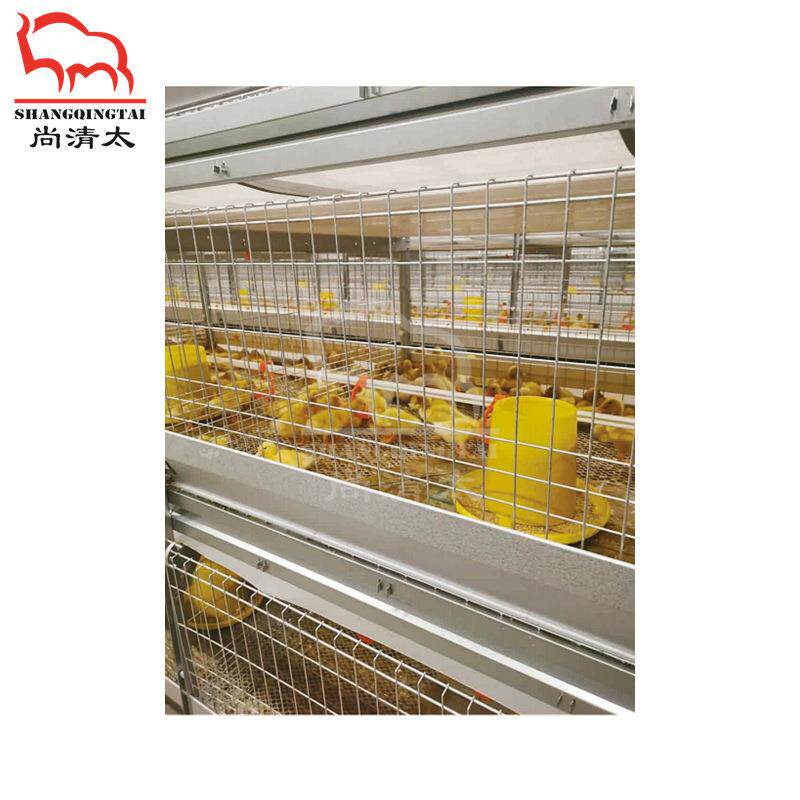 肉鸭全自动笼养系统 养鸭笼子 自动饲喂清粪 鸭子笼具 养殖设备