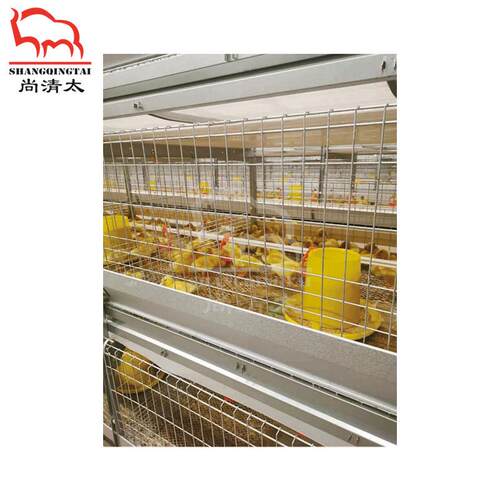 肉鸭全自动笼养系统 养鸭笼子 自动饲喂清粪 鸭子笼具 养殖设备