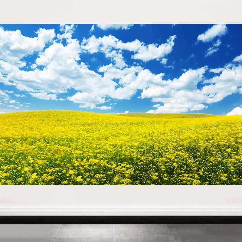 乡村田园风景画油菜花装饰画蓝天白云房间卧室走廊自粘壁画自粘画