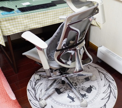 Ergoup蝴蝶人体工学椅怎么样?看我真实心酸使用史!