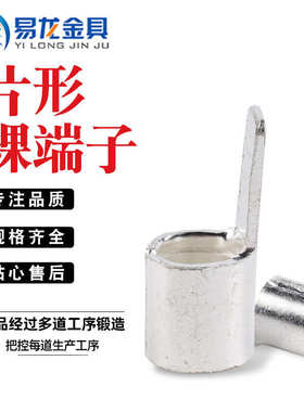 片型冷压接线裸端头C45系列1.5至70接线铜端子紫铜压着铜线鼻子zT