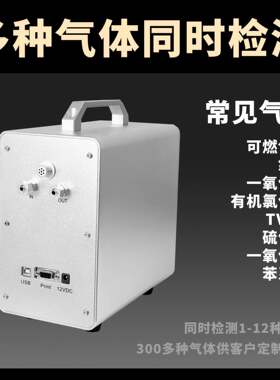 手提式复合气体分析仪氯气氟化氢带采样手柄存储GT-2000-K3
