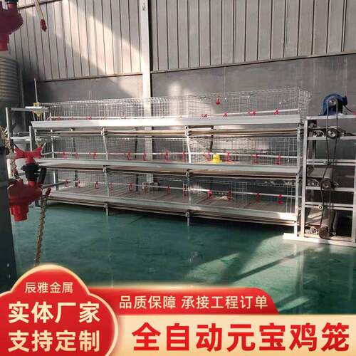 全自动元肉鸡笼大型养殖设备立体式框架肉鸡笼农场蛋鸡笼养鸡笼