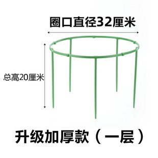 花架子家用支架通用型蟹爪兰花架莲花护叶架子园艺盆栽支撑杆