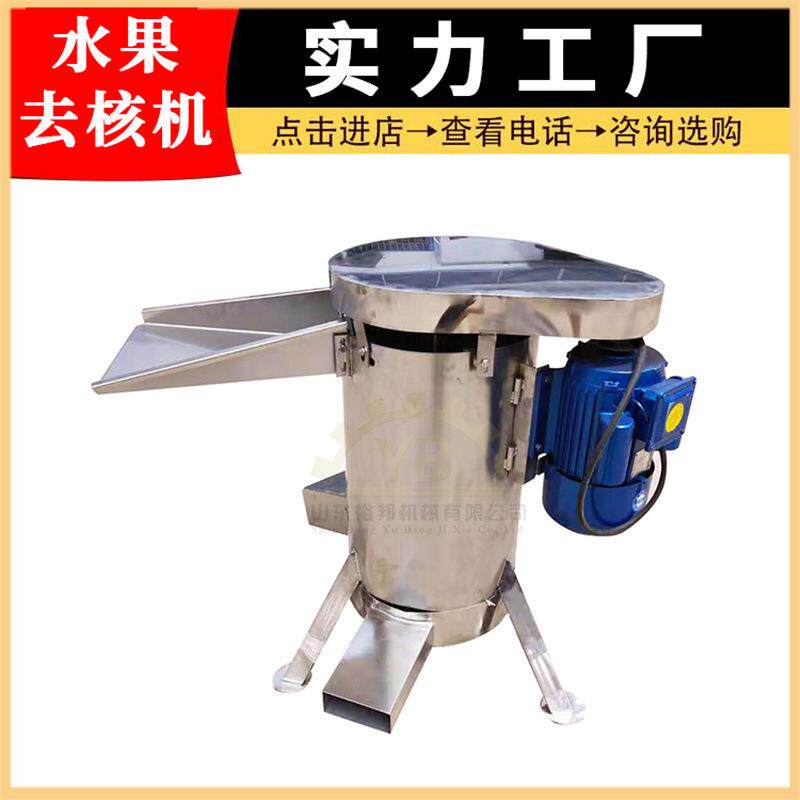大型果蔬去核机油柑橄榄芒果梅子商用工业不锈钢设备