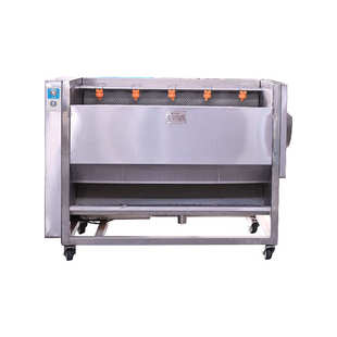 毛刷清洗机厂家供应全自动智能蔬菜去皮清洗设备平行毛辊清洗机