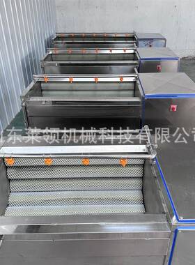 机白萝卜辊清洗去泥动化鲜姜清洗脱皮机毛芥菜疙IML瘩毛刷清自洗