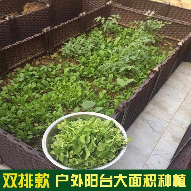 新款直销阳台种菜花盆 长方形蔬菜种植箱 组合花槽架 种果树葡萄