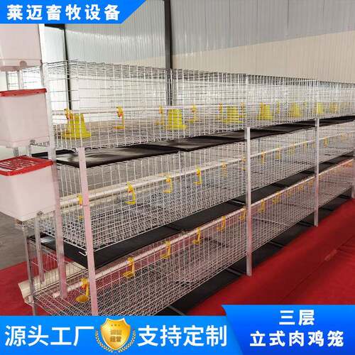 大层叠三蛋鸡笼全自动PCE养殖笼具四层热镀锌养鸡笼殖设备养层鸡