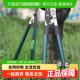 胜达®剪树枝专用剪刀园艺剪刀修剪树枝修枝剪大剪刀修枝剪粗枝剪