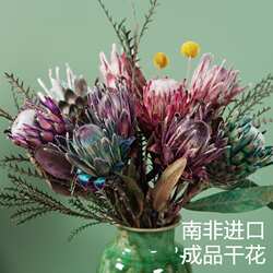 南非进口干 干花帝王花公主花班克木干 干燥花客厅高端进口真花花
