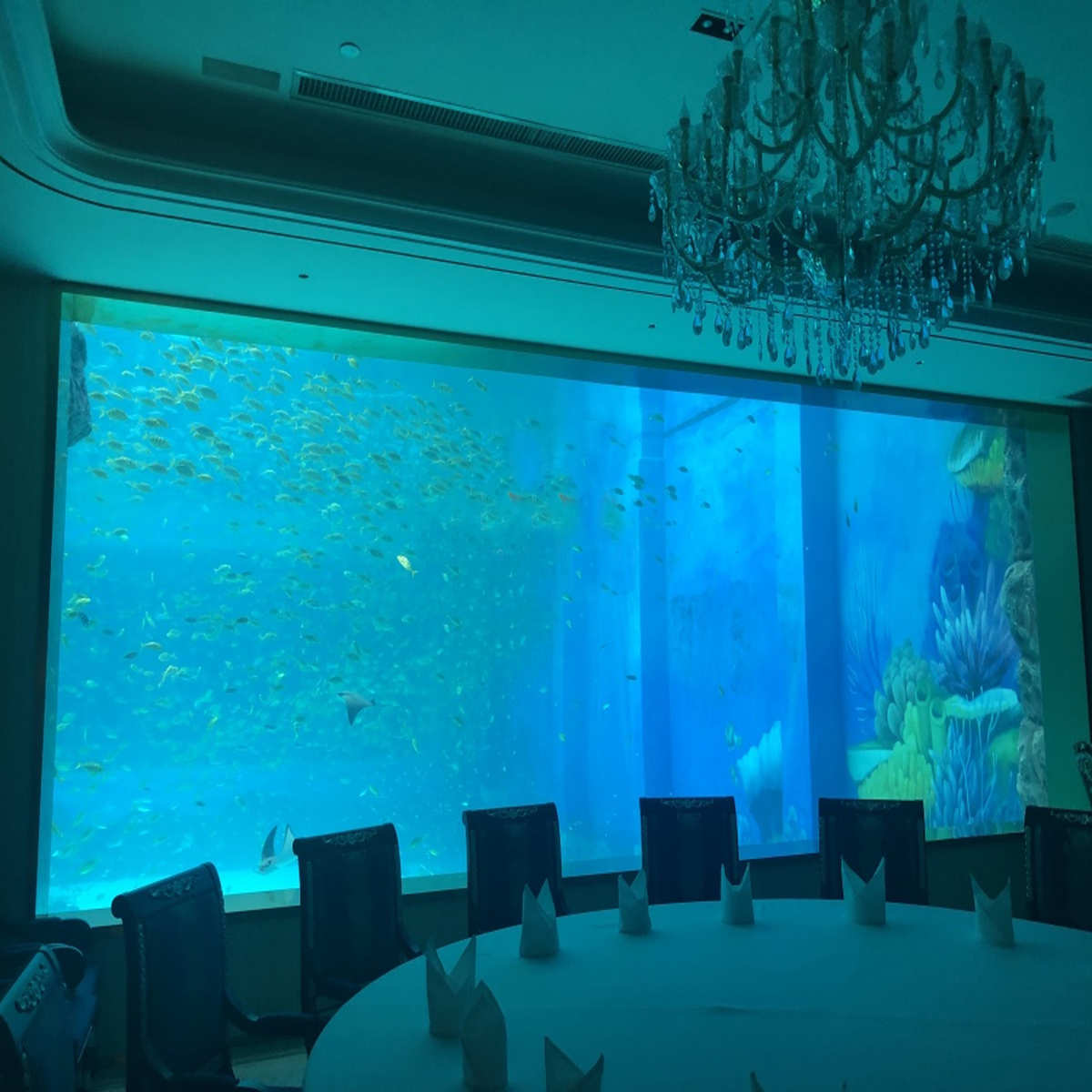 大型亚克力鱼缸制做酒吧KTV展览生态观赏鱼缸高透明承接水族工程