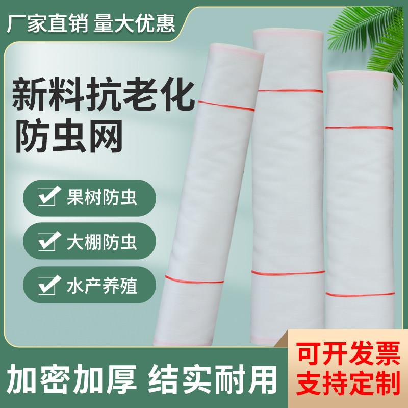蔬菜大棚防虫网纱网农用菜园果树种植加厚加密防蚊纱窗防鸟网罩