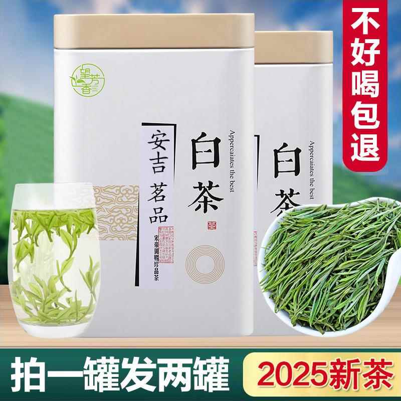 正宗白茶安吉高山特级2025年新茶叶礼盒装一级口粮绿茶雨前散装茶