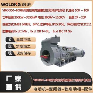 min冷却方式 IC511高压防爆电机 2630W额定转速2985r YBX500