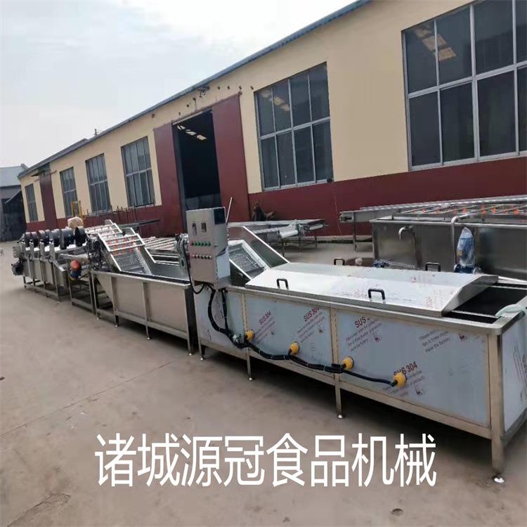 蒸汽式芒果漂烫机 温控式蔬菜漂烫机 豆角净菜杀青机 厂家供应