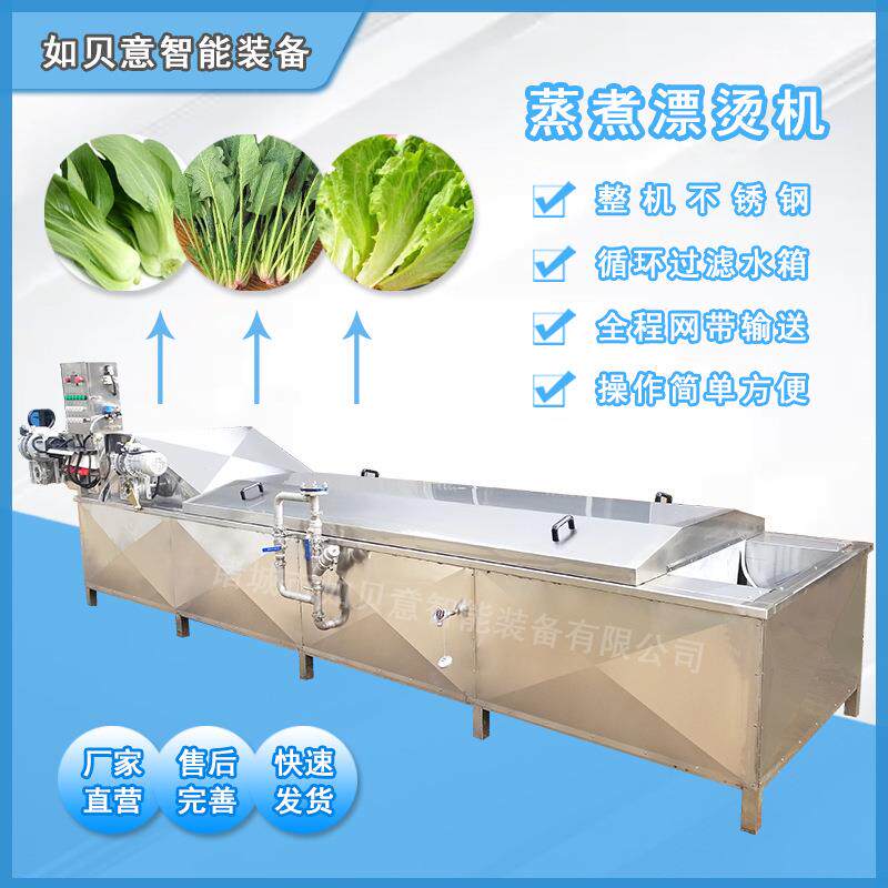 现货供应海笋蒸煮漂烫机 莴苣漂烫焯水机 鸭货蒸煮漂烫机