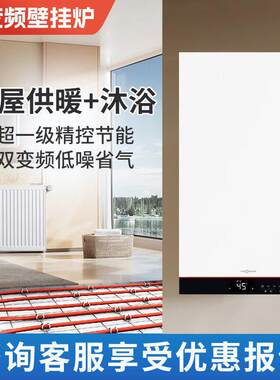 四川菲斯曼壁挂炉B1JG25KW采暖热水全预混冷凝炉两用壁挂炉暖气片