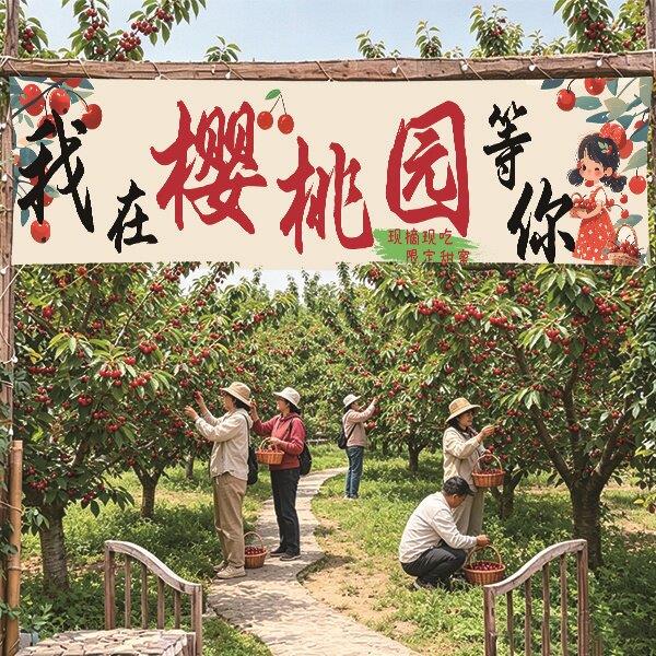 户外樱桃采摘园主题横幅定制网红直播打卡装饰氛围感采摘背景挂布