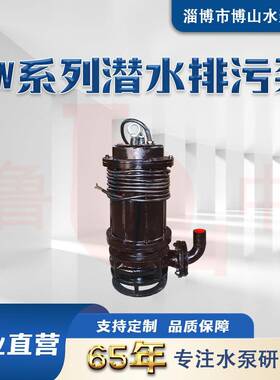 100ZJQ50-50型渣浆泵潜水抽沙泥浆泵大流量潜渣泵博山厂家直供