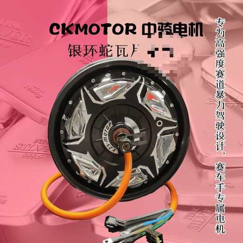 中骑银环蛇12寸3000WP4000WP5000wp电机非全顺豫马瓦片