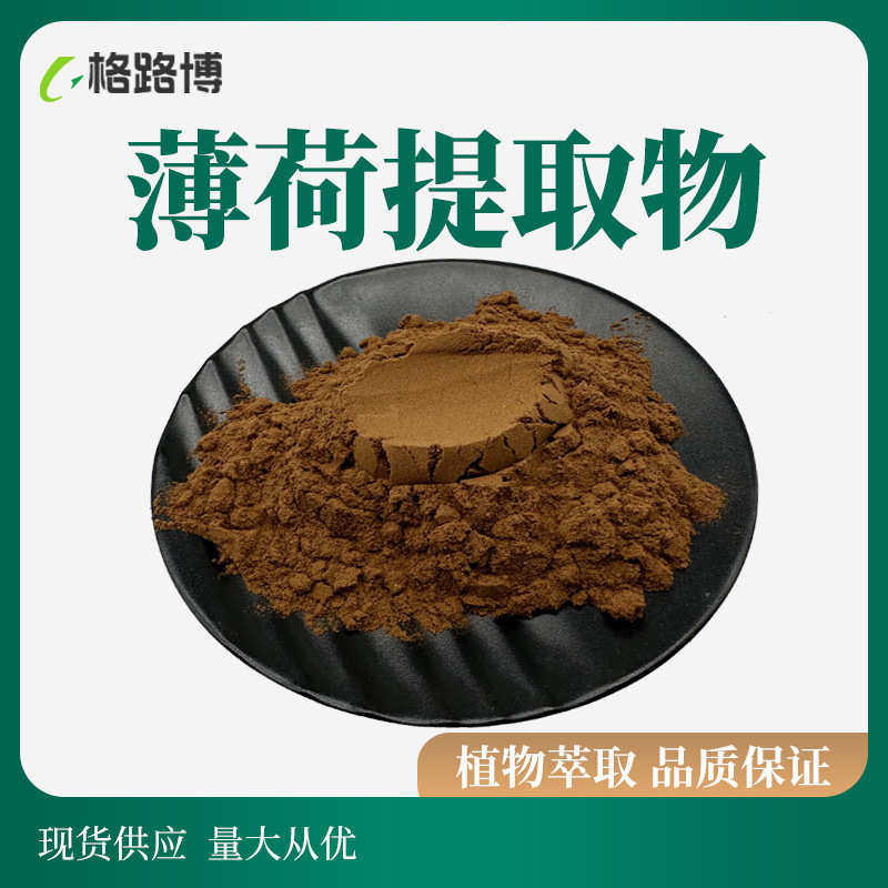 薄荷提取物10:1~100:1薄荷叶比例提取 水溶薄荷粉 格路博生物