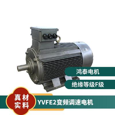 鸿泰低压三相异步电机tYVFE2-100L-6t1.5KWt380Vt耐高强度振动