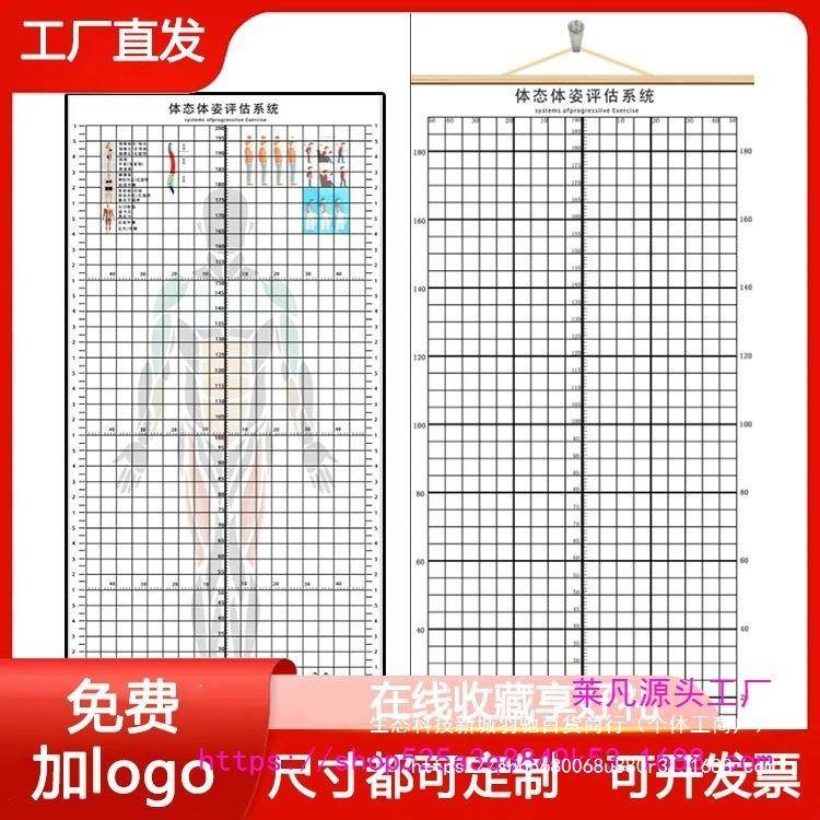 现货体态评估表瑜伽健身私教体位姿势体测表身体评估表挂式网格