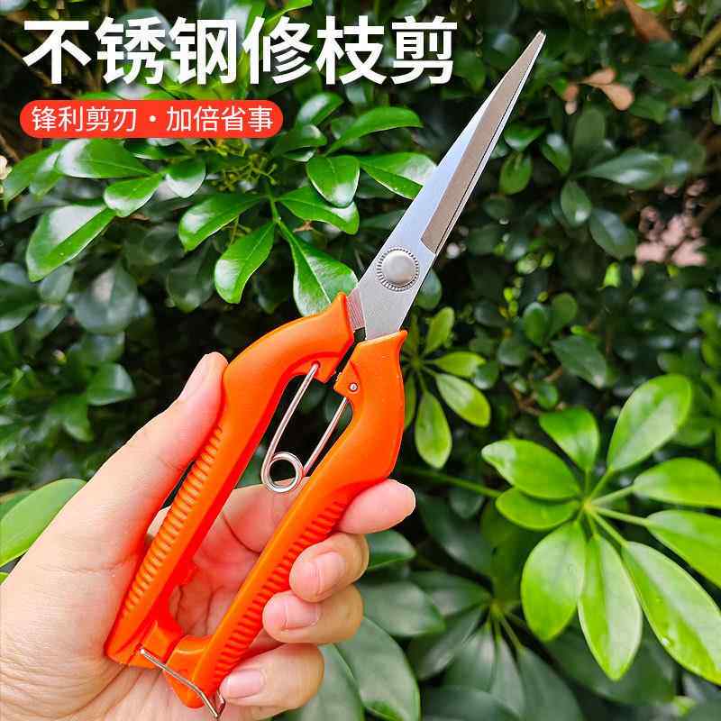 不锈钢树枝修枝剪摘果剪盆景蔬果剪刀园林工具户外果树剪