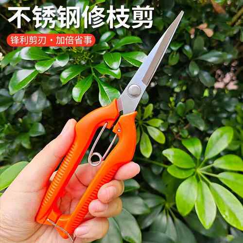 不锈钢树枝修枝剪摘果剪盆景蔬果剪刀园林工具户外果树剪