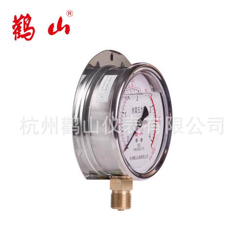耐震压力表径向带后边压力表YN100T 甘油表 硅油 加油表 船用表