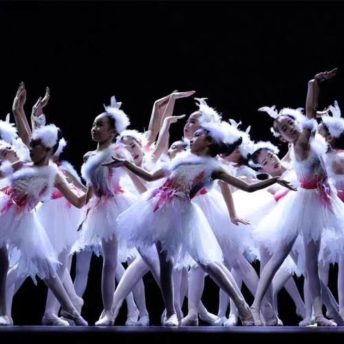 正品鸽舞的天空儿童演出服公子主蓬蓬裙小白翎蹈演出服小动女物舞